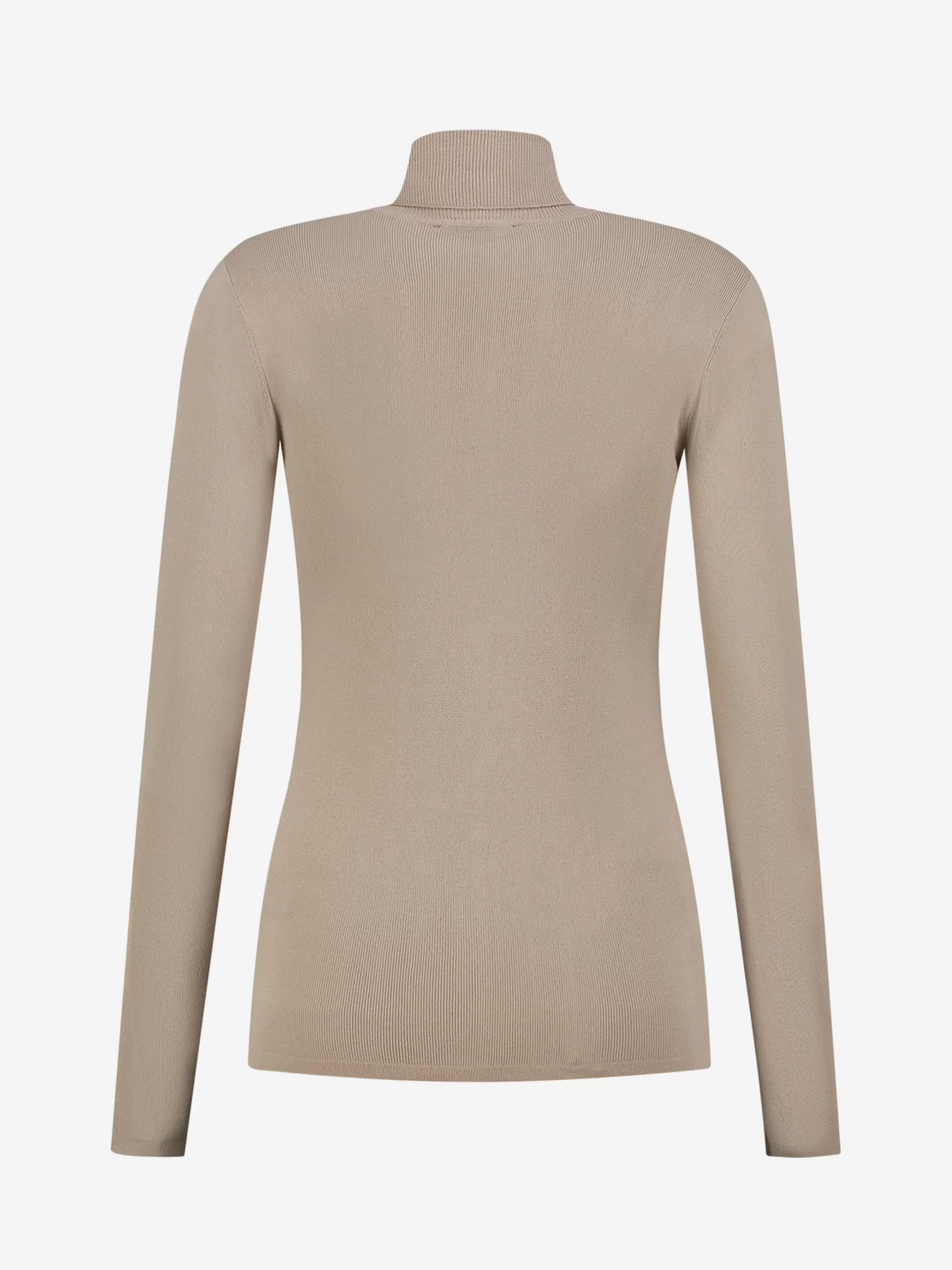 Discount Fitted top met col Tops